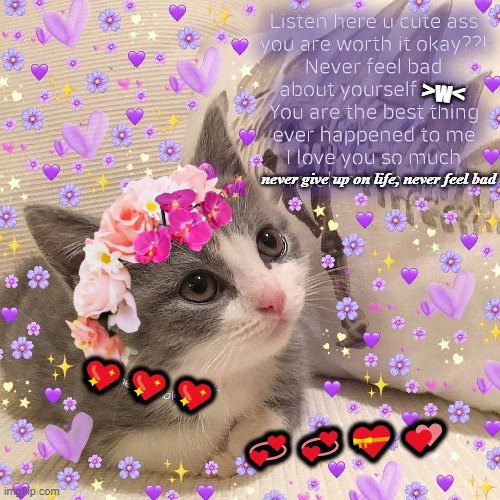 (ﾉ◕ヮ◕)ﾉ*:･ﾟ✧ | >w<; never give up on life, never feel bad; 💖💖💖; 💞💞💝💕 | made w/ Imgflip meme maker