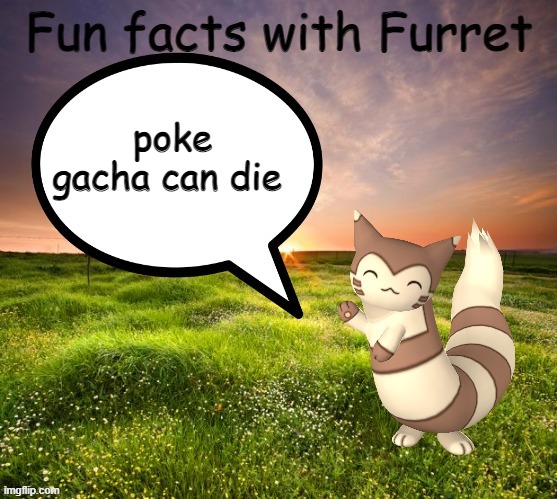 Fun facts with Furret | poke gacha can die | image tagged in fun facts with furret | made w/ Imgflip meme maker