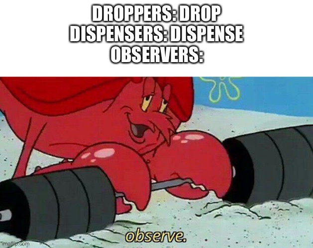Minecraft | DROPPERS: DROP
DISPENSERS: DISPENSE
OBSERVERS: | image tagged in observe,minecraft,memes,funny,funny memes | made w/ Imgflip meme maker
