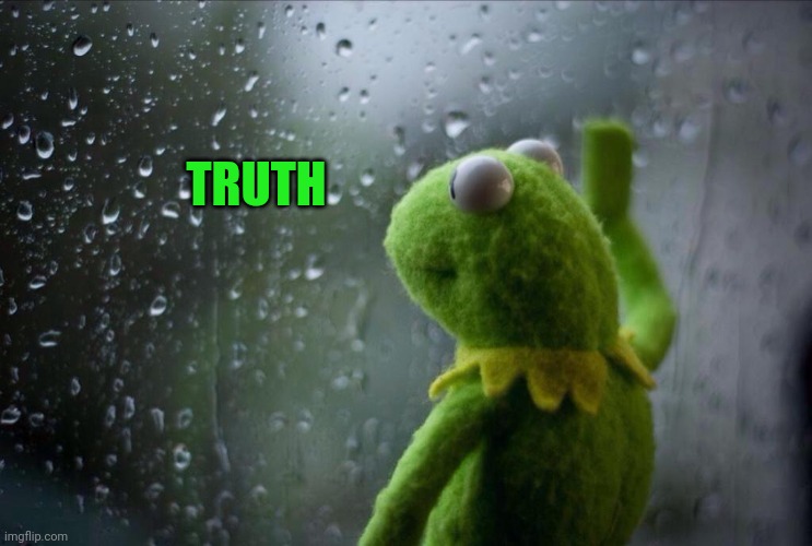 Sad Kermit | TRUTH | image tagged in sad kermit | made w/ Imgflip meme maker