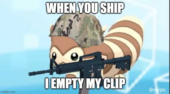 pokeshipping is wrong | WHEN YOU SHIP; I EMPTY MY CLIP | image tagged in furret army | made w/ Imgflip meme maker