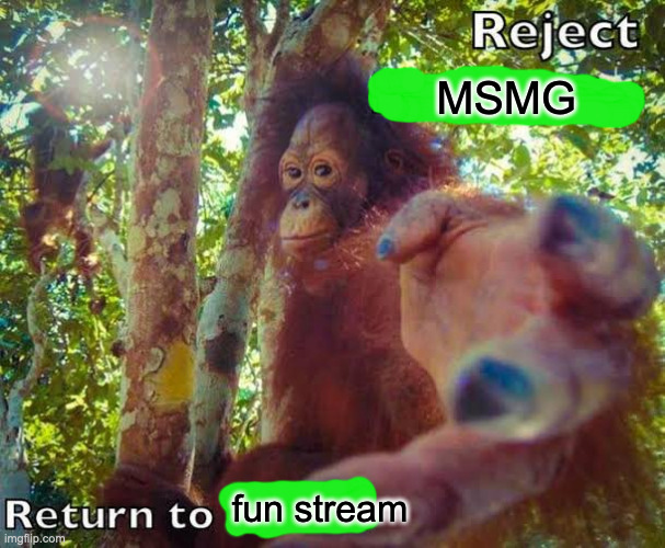 Return to monke | MSMG; fun stream | image tagged in return to monke | made w/ Imgflip meme maker