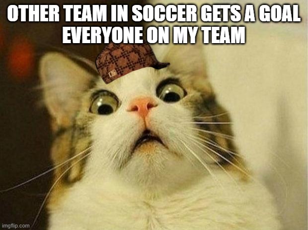 Scared Cat Meme | OTHER TEAM IN SOCCER GETS A GOAL
EVERYONE ON MY TEAM | image tagged in memes,scared cat | made w/ Imgflip meme maker