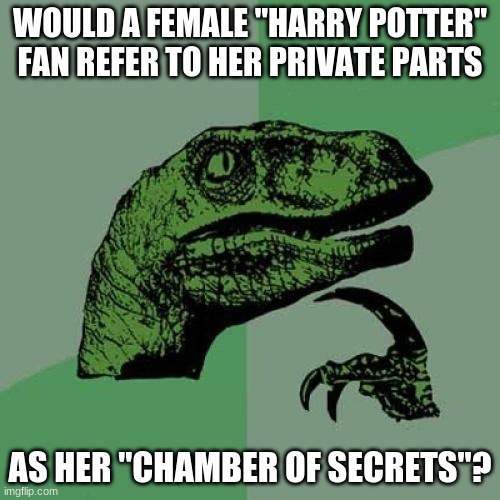 I feel like this joke has been done already. It's very likely. | WOULD A FEMALE "HARRY POTTER" FAN REFER TO HER PRIVATE PARTS; AS HER "CHAMBER OF SECRETS"? | image tagged in memes,philosoraptor,harry potter,so yeah,lol | made w/ Imgflip meme maker