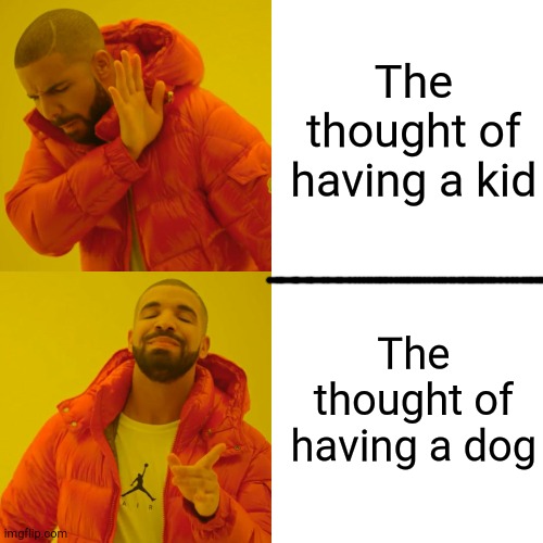 Drake Hotline Bling | The thought of having a kid; The thought of having a dog | image tagged in memes,drake hotline bling | made w/ Imgflip meme maker
