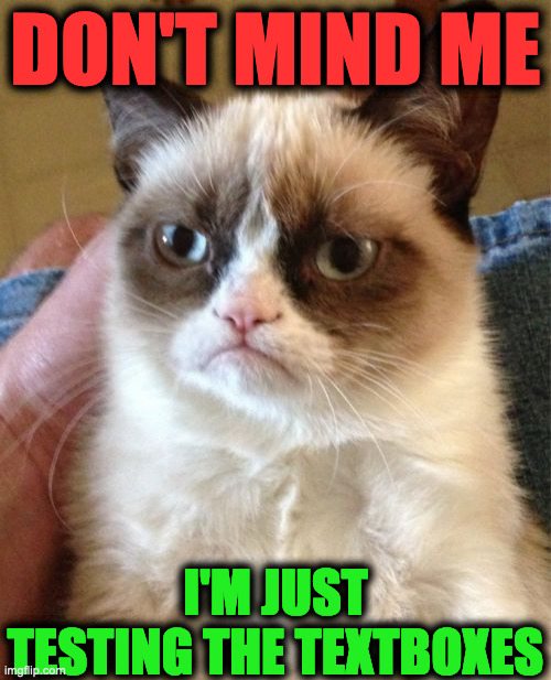 hi | DON'T MIND ME; I'M JUST TESTING THE TEXTBOXES | image tagged in memes,grumpy cat | made w/ Imgflip meme maker