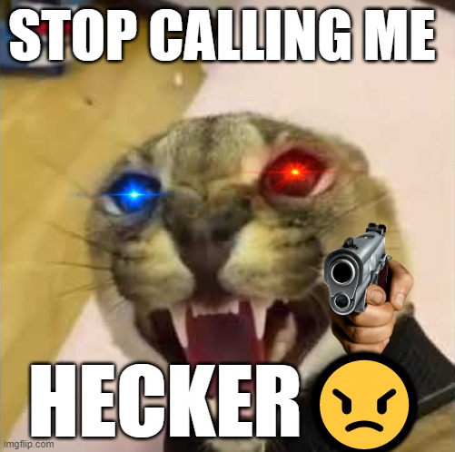 Floppa is M A D | STOP CALLING ME; HECKER😠 | image tagged in angry floppa,floppa | made w/ Imgflip meme maker