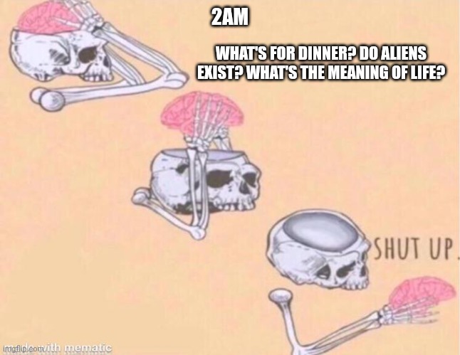 Brain at 2am | 2AM; WHAT'S FOR DINNER? DO ALIENS EXIST? WHAT'S THE MEANING OF LIFE? | image tagged in skeleton shut up brain | made w/ Imgflip meme maker