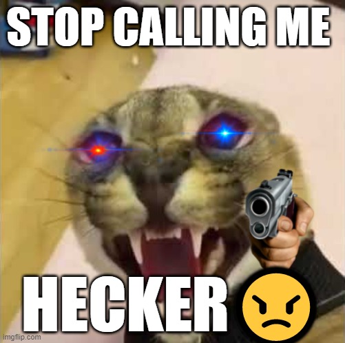 floppa is mad | STOP CALLING ME; HECKER😠 | image tagged in angry floppa | made w/ Imgflip meme maker
