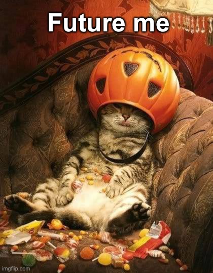 Every Year…Sugar Coma! | Future me | image tagged in funny memes,funny cat memes,halloween,candy | made w/ Imgflip meme maker