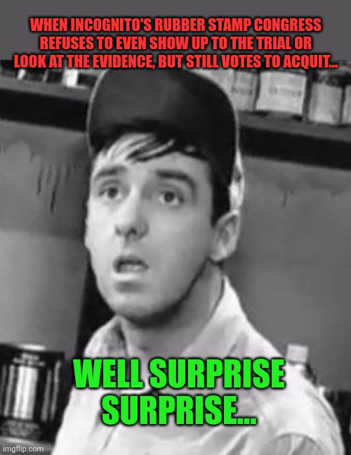 Gomer Pyle | WELL SURPRISE SURPRISE... WHEN INCOGNITO'S RUBBER STAMP CONGRESS REFUSES TO EVEN SHOW UP TO THE TRIAL OR LOOK AT THE EVIDENCE, BUT STILL VOT | image tagged in gomer pyle | made w/ Imgflip meme maker
