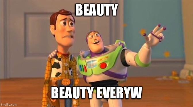 TOYSTORY EVERYWHERE | BEAUTY BEAUTY EVERYWHERE | image tagged in toystory everywhere | made w/ Imgflip meme maker