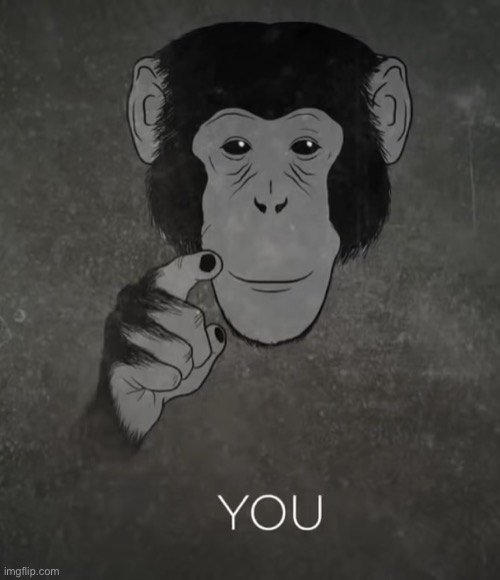 Monkey you | image tagged in monkey you | made w/ Imgflip meme maker