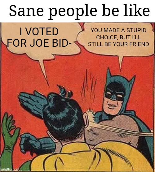 Batman Slapping Robin Meme | I VOTED FOR JOE BID- YOU MADE A STUPID CHOICE, BUT I'LL STILL BE YOUR FRIEND Sane people be like | image tagged in memes,batman slapping robin | made w/ Imgflip meme maker