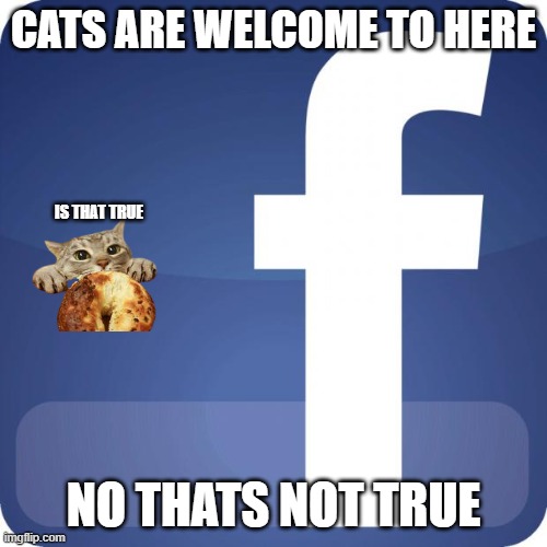 face book be like | CATS ARE WELCOME TO HERE; IS THAT TRUE; NO THATS NOT TRUE | image tagged in facebook | made w/ Imgflip meme maker