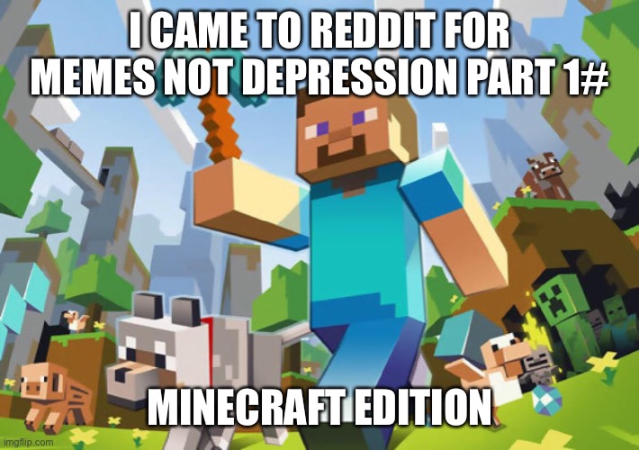Reddit, please give me answers. : r/Minecraft
