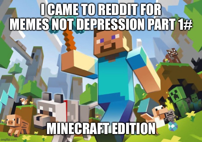 Im finally came back to reddit minecraft : r/Minecraft