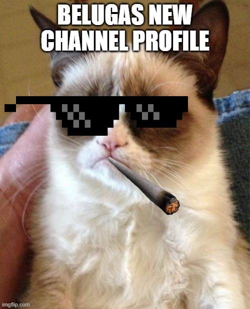 send this to beluga | BELUGAS NEW CHANNEL PROFILE | image tagged in memes,grumpy cat | made w/ Imgflip meme maker