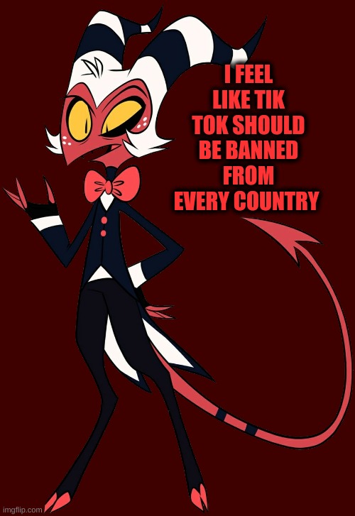 I FEEL LIKE TIK TOK SHOULD BE BANNED FROM EVERY COUNTRY | made w/ Imgflip meme maker