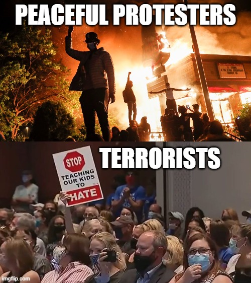 PEACEFUL PROTESTERS; TERRORISTS | image tagged in blm riots,parents | made w/ Imgflip meme maker