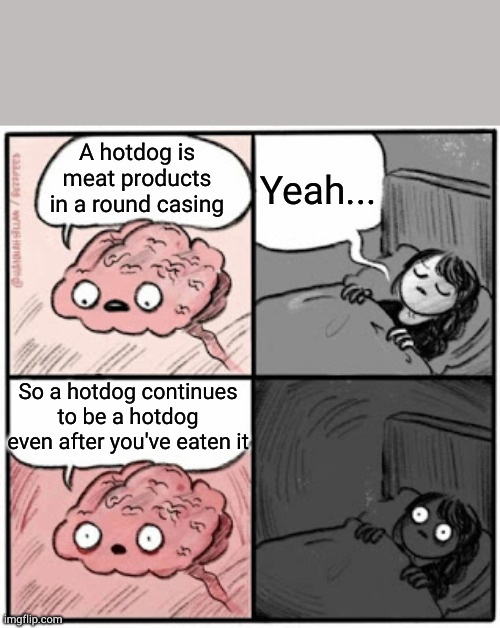 Food for thought | Yeah... A hotdog is meat products in a round casing; So a hotdog continues to be a hotdog even after you've eaten it | image tagged in brain before sleep | made w/ Imgflip meme maker