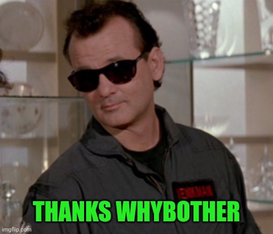 Peter Venkman | THANKS WHYBOTHER | image tagged in peter venkman | made w/ Imgflip meme maker