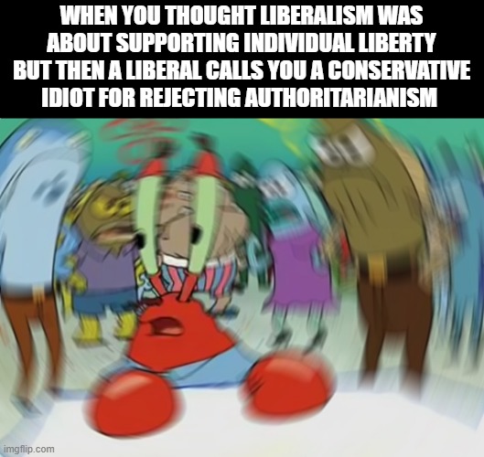 Who am I? What am I? | WHEN YOU THOUGHT LIBERALISM WAS ABOUT SUPPORTING INDIVIDUAL LIBERTY BUT THEN A LIBERAL CALLS YOU A CONSERVATIVE IDIOT FOR REJECTING AUTHORITARIANISM | image tagged in memes,liberal vs conservative,conservatives,liberals,politics | made w/ Imgflip meme maker