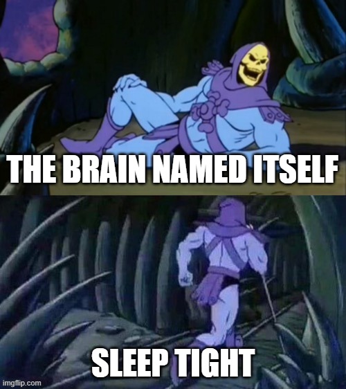 umm, what??? | THE BRAIN NAMED ITSELF; SLEEP TIGHT | image tagged in skeletor disturbing facts | made w/ Imgflip meme maker