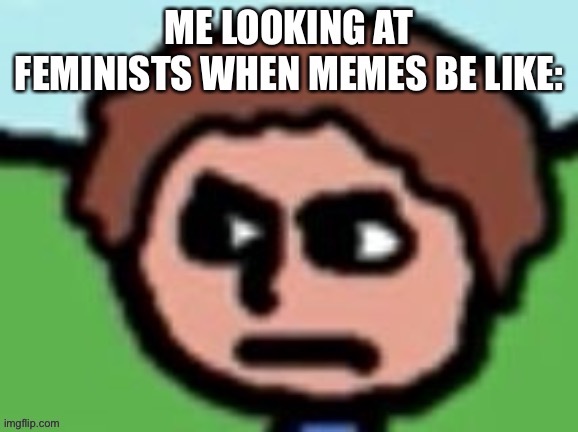 Annoyed | image tagged in annoyed,feminist,memes,the duck walked up to a lemonade stand,and he said to the man,running the stand | made w/ Imgflip meme maker