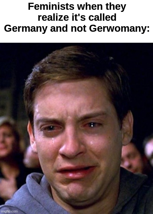 The 69,420th day with no title |  Feminists when they realize it's called Germany and not Gerwomany: | image tagged in crying peter parker,memes,funny,feminist,germany | made w/ Imgflip meme maker