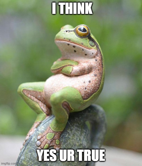 nah frog | I THINK YES UR TRUE | image tagged in nah frog | made w/ Imgflip meme maker