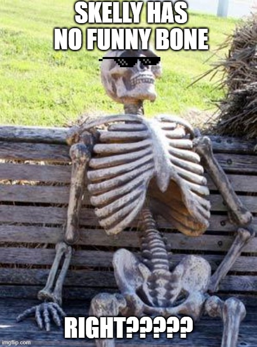 SKELLY BONE |  SKELLY HAS NO FUNNY BONE; RIGHT????? | image tagged in memes,waiting skeleton | made w/ Imgflip meme maker
