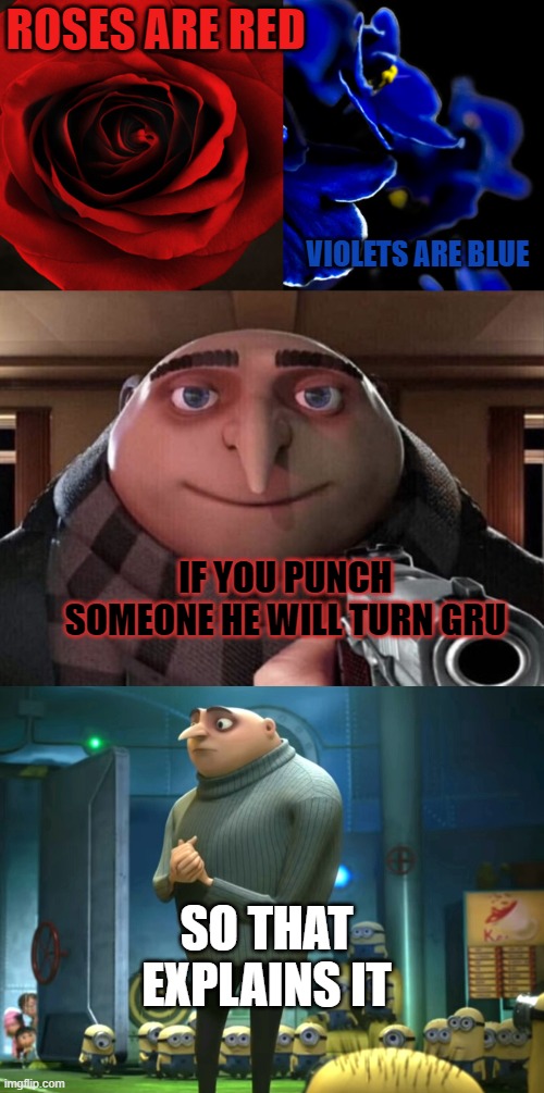 i just need this on front page.. | ROSES ARE RED; VIOLETS ARE BLUE; IF YOU PUNCH SOMEONE HE WILL TURN GRU; SO THAT EXPLAINS IT | image tagged in roses are red violets are blue,gru gun,in terms of money we have no money | made w/ Imgflip meme maker