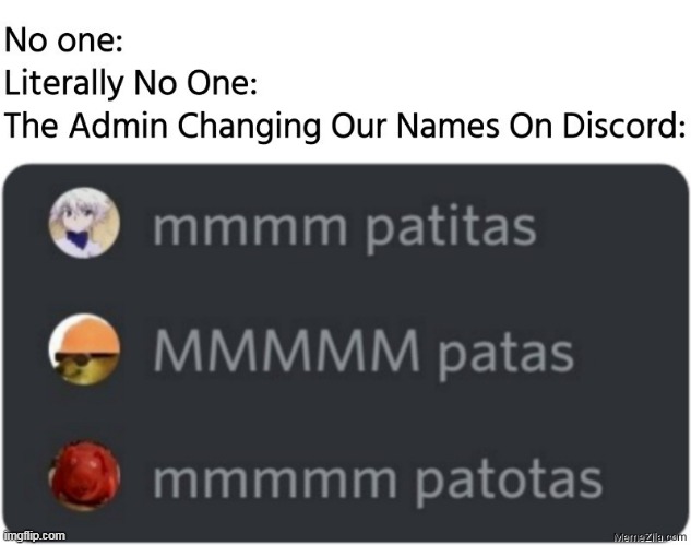 mmmm patatatatattatattapitaspatospotatas | image tagged in discord,lol,hahahaha,no one | made w/ Imgflip meme maker