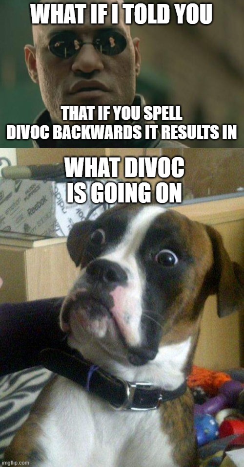 no word | WHAT IF I TOLD YOU; THAT IF YOU SPELL DIVOC BACKWARDS IT RESULTS IN; WHAT DIVOC IS GOING ON | image tagged in memes,matrix morpheus,blankie the shocked dog | made w/ Imgflip meme maker