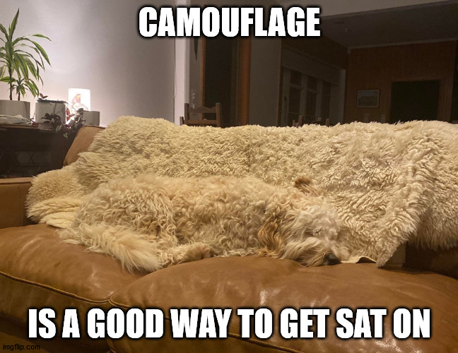 CAMOUFLAGE; IS A GOOD WAY TO GET SAT ON | made w/ Imgflip meme maker