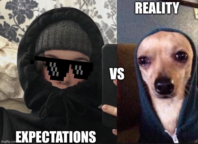 Expectations vs Reality | REALITY; VS; EXPECTATIONS | image tagged in expectations vs reality | made w/ Imgflip meme maker