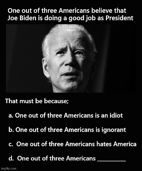 One out of three Americans is an idiot | One out of three Americans believe that
Joe Biden is doing a good job as President; That must be because;
 
  a. One out of three Americans is an idiot
 
  b. One out of three Americans is ignorant
 
  c.  One out of three Americans hates America
 
  d.  One out of three Americans ___________ | image tagged in biden,polls | made w/ Imgflip meme maker