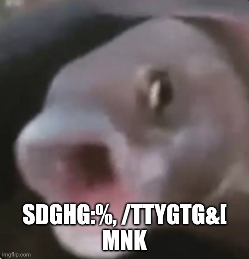 Poggers Fish | SDGHG:%, /TTYGTG&[
MNK | image tagged in poggers fish | made w/ Imgflip meme maker