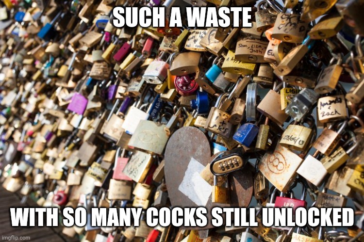 Wasted locks | SUCH A WASTE; WITH SO MANY COCKS STILL UNLOCKED | image tagged in china / corona virus lock down | made w/ Imgflip meme maker