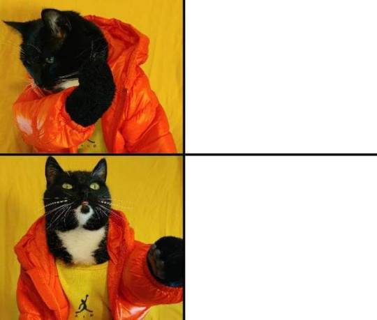 High Quality drake meme black cat Blank Meme Template