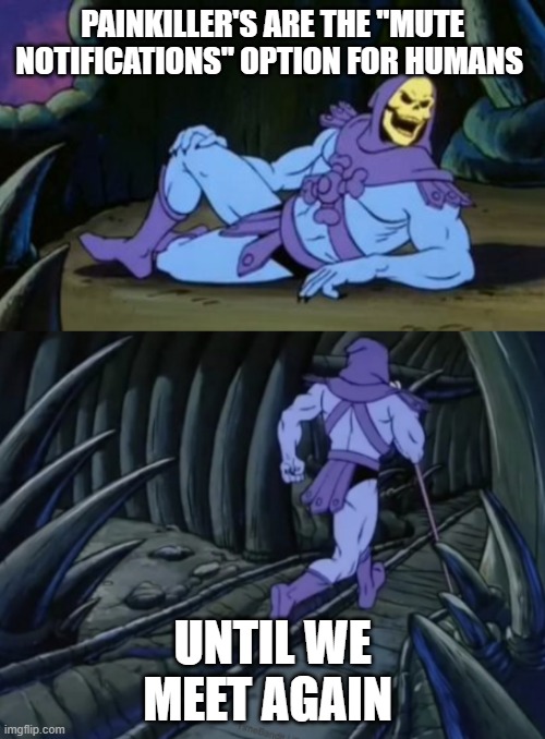 it be tru tho- | PAINKILLER'S ARE THE "MUTE NOTIFICATIONS" OPTION FOR HUMANS; UNTIL WE MEET AGAIN | image tagged in disturbing facts skeletor | made w/ Imgflip meme maker