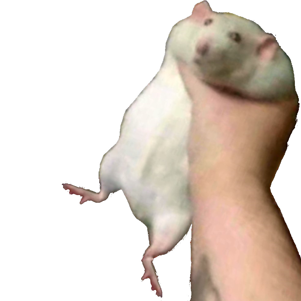 High Quality Fat Rat Grabbed Blank Meme Template