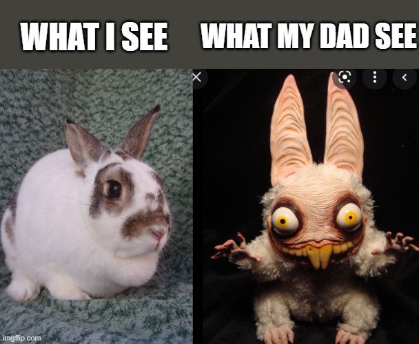 WHAT MY DAD SEE; WHAT I SEE | image tagged in funny | made w/ Imgflip meme maker