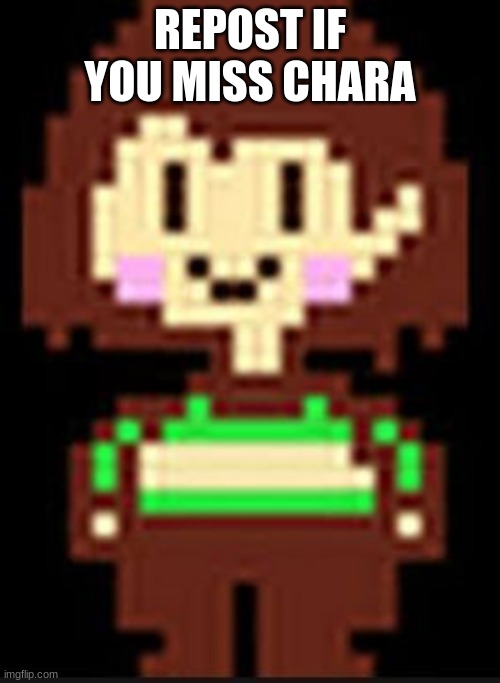 aka sunburst official/lil frisk | REPOST IF YOU MISS CHARA | image tagged in chara | made w/ Imgflip meme maker