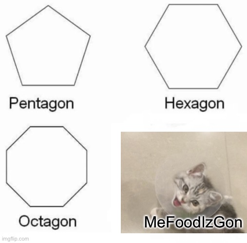 Me cat iz hungy!!!!!!!!!!!!! | MeFoodIzGon | image tagged in memes,pentagon hexagon octagon | made w/ Imgflip meme maker