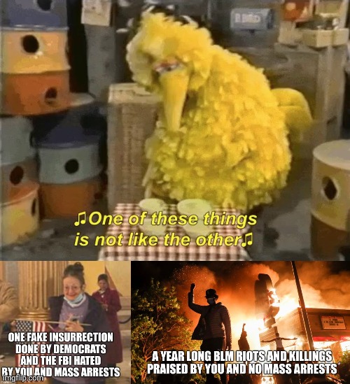 One of these things is not like the other. | image tagged in big bird,jan6,blm,riots,antifa | made w/ Imgflip meme maker