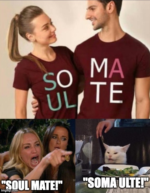 E | "SOUL MATE!"; "SOMA ULTE!" | image tagged in memes,woman yelling at cat,unfunny | made w/ Imgflip meme maker