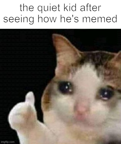 the quiet kid will see you tomorrow :) |  the quiet kid after seeing how he's memed | image tagged in sad thumbs up cat,quiet kid | made w/ Imgflip meme maker