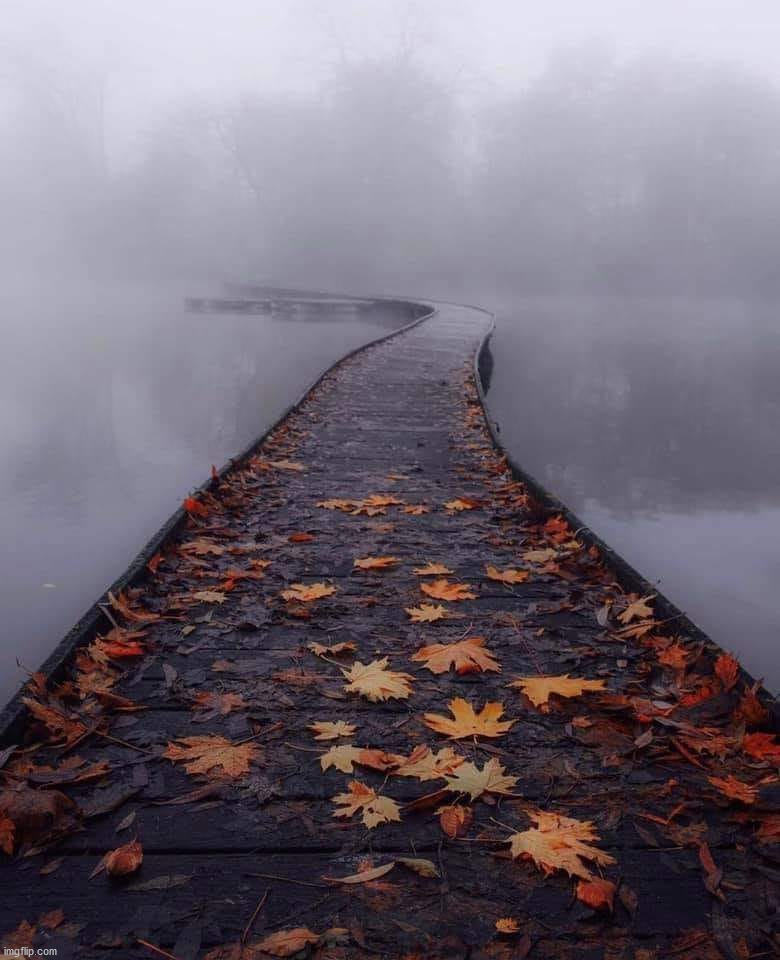 image tagged in awesome | made w/ Imgflip meme maker